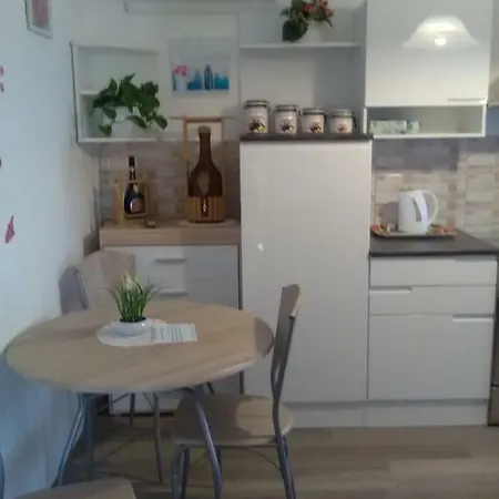 Apartment Apartma Evi Zaga