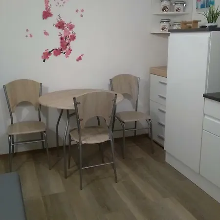 Apartma Evi Apartment