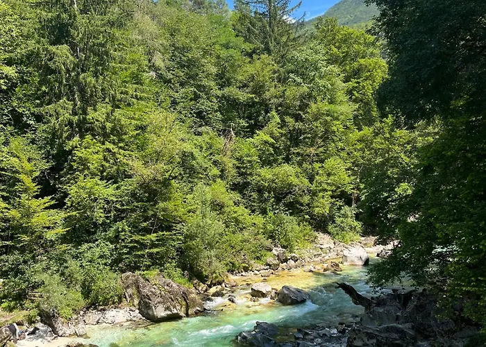 公寓 Apartma Evi Zaga