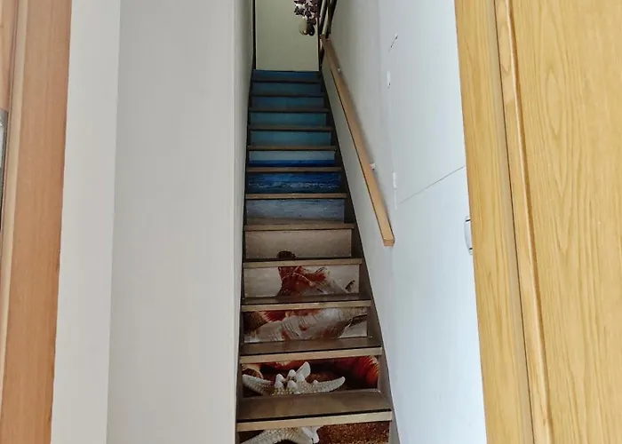 公寓 Apartma Evi Zaga