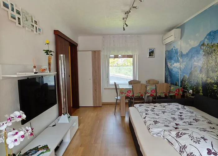 Apartma Evi 公寓 Zaga